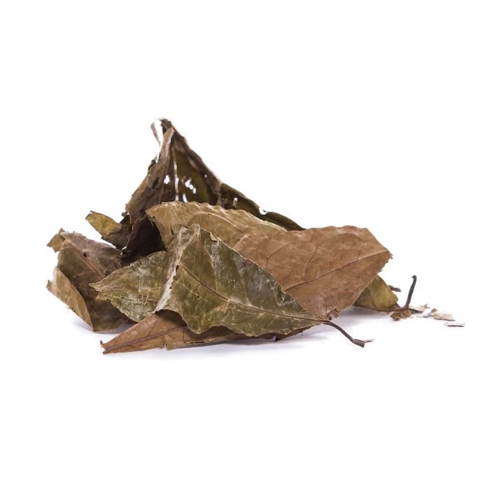 diplopterys-cabrerana-chaliponga.jpg Diplopterys cabrerana