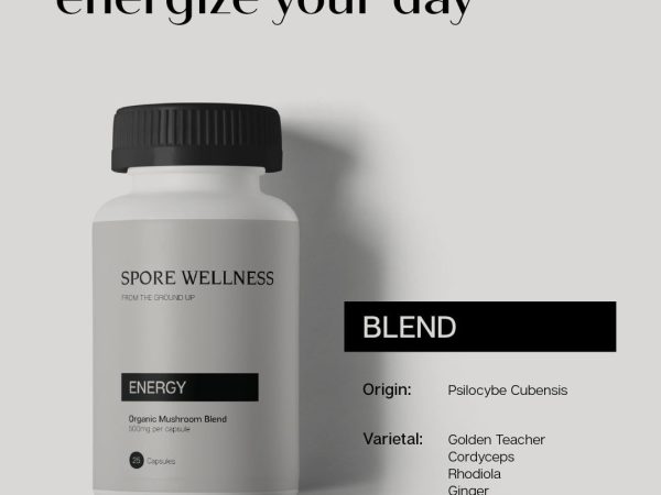 Spore Wellness