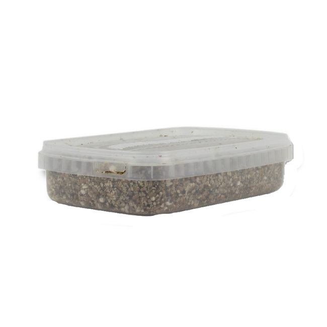 sterile-magic-mushroom-substrate-for-p-cubensis-medium.png